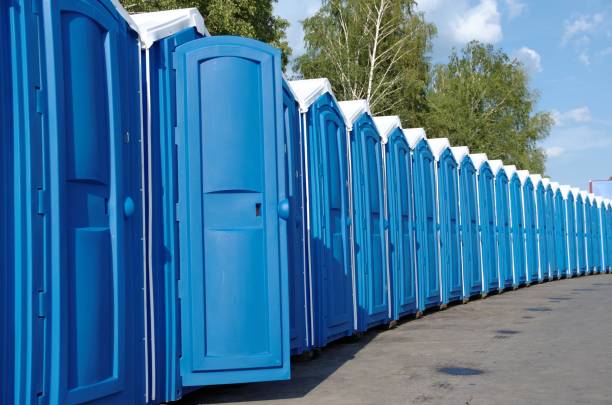 Best Sanitation services for porta potties  in Ionia, MI